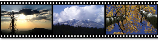 Flagstaff Homes and Land