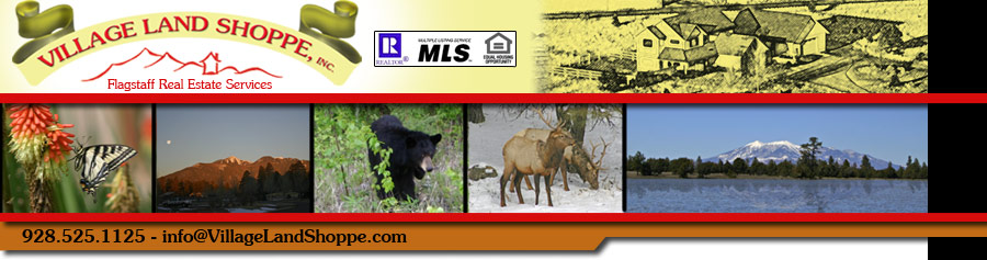 Flagstaff Real Estate